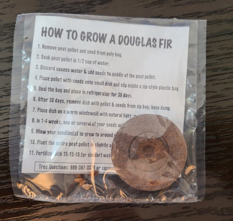 Wenaha Henry Children's book about NatureSeeds to a Tree Strategic