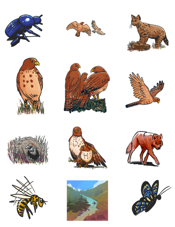 Stickers-Wenaha Henry Children’s Book about Nature